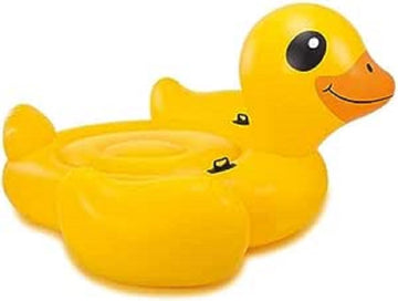 Intex Intexa      ??A   Duck 147 X 147 X 81