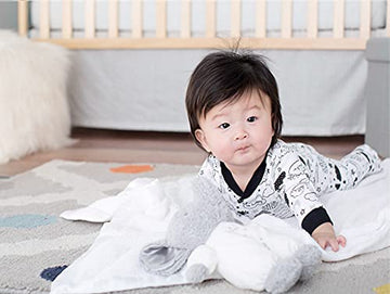 Baby Starters Little Me Plush Elephant Rattle with Welcome to The World Embroidery (White, 9 inch)