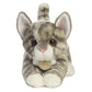 Aurora    Adorable Miyoni    Grey Tabby Kitten Stuffed Animal - Lifelike Detail - Cherished Companionship - Gray 9 Inches