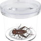 Simpless 8 Pieces Bug Viewer Critter Insect Cage Magnifying Insect Box Bug Magnifier Container Bug Catcher Cage, Science Nature