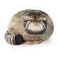 Dinyinor Cat Plush Pillow,Pallas Cat Plush Body Pillow,Kitten Plush Throw Pillow,Soft & Comfortable Stuffed Animal Plushies,Gift
