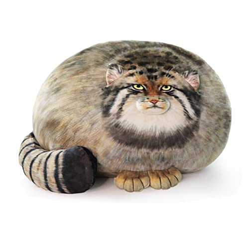 Dinyinor Cat Plush Pillow,Pallas Cat Plush Body Pillow,Kitten Plush Throw Pillow,Soft & Comfortable Stuffed Animal Plushies,Gift