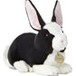 Aurora World Miyoni Dutch Rabbit Black And White 10' Plush