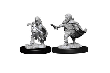 D&D Nolzur'S Marvelous Miniatures: Halfling Rogue Male