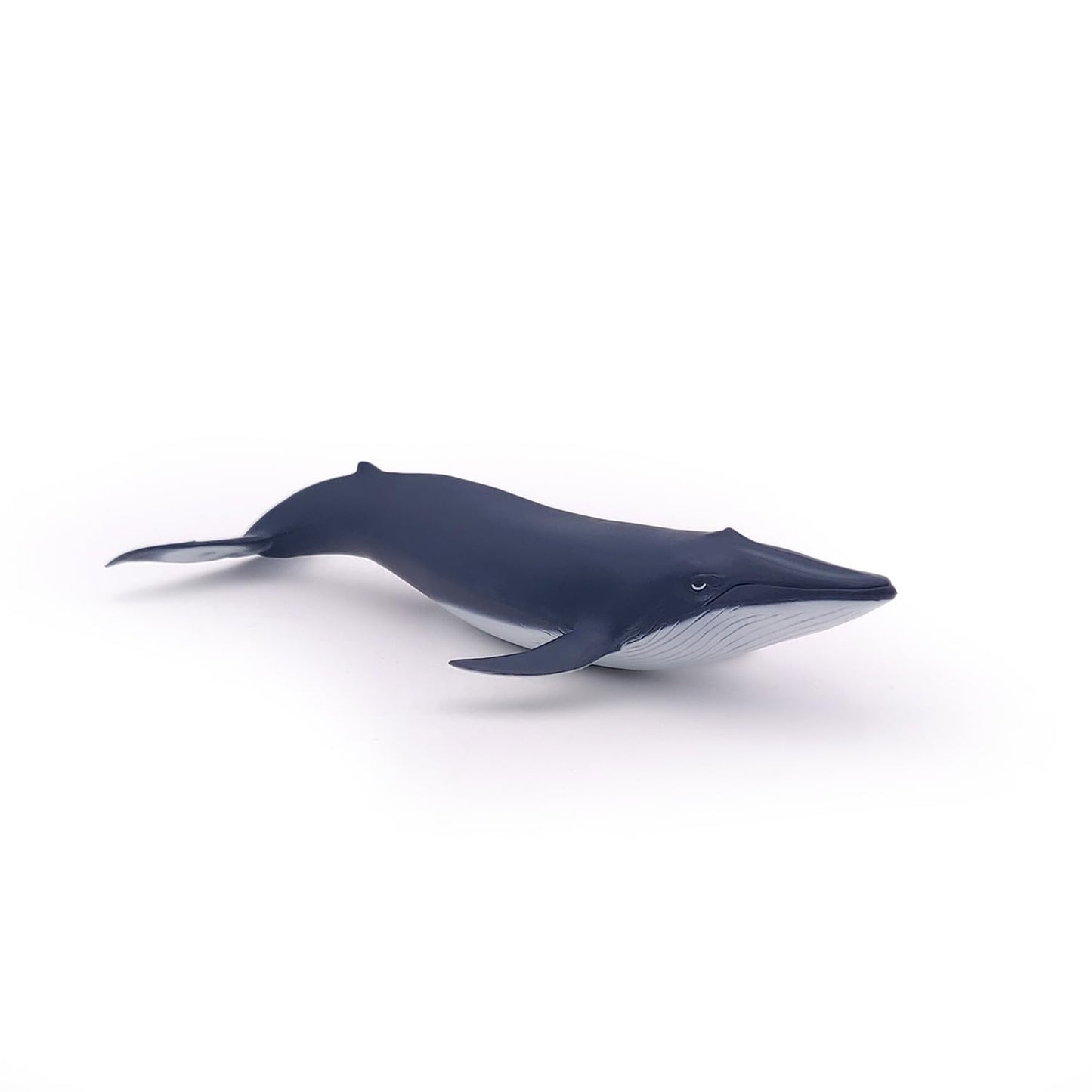 Papo - Hand-Painted - Figurine - Marine Life - Blue Whale Calf-56041 - Collectible - For Children - Suitable For Boys And Girls - From 3 Years Old