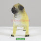 Pacific Trading Sitting Pug Puppy Figurine 3 Inch Multicolor