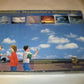Bushnell Skywatchers Weather Set: Discover the Universe Around You