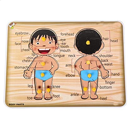 RPC99 Kids Educational Learn Body Part Puzzle Game on Wooden Board