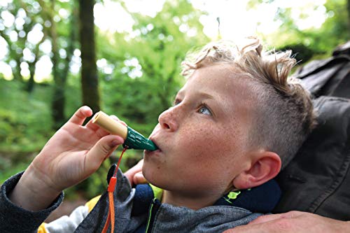 Hape Nature Detective Set| Bamboo & Plant Plastic Detective Playset, Nature Exploration Toys For Outdoor Games