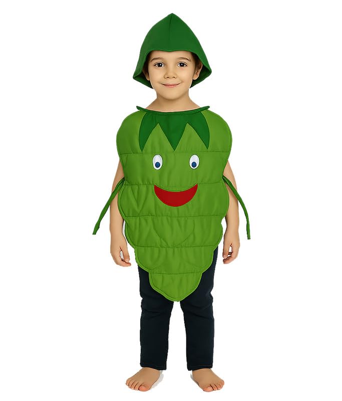 Fancydresswale Grapes Fancy Dress Costume For Kids | Free Size 2-10 Years | School Events, Fancy Dress Competitions, Theme Parti