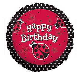 LADYBUG 1st First BIRTHDAY PARTY Balloons Decorations Supplies NEW