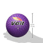Voit 10'' Playground Balls (Ea) Purple