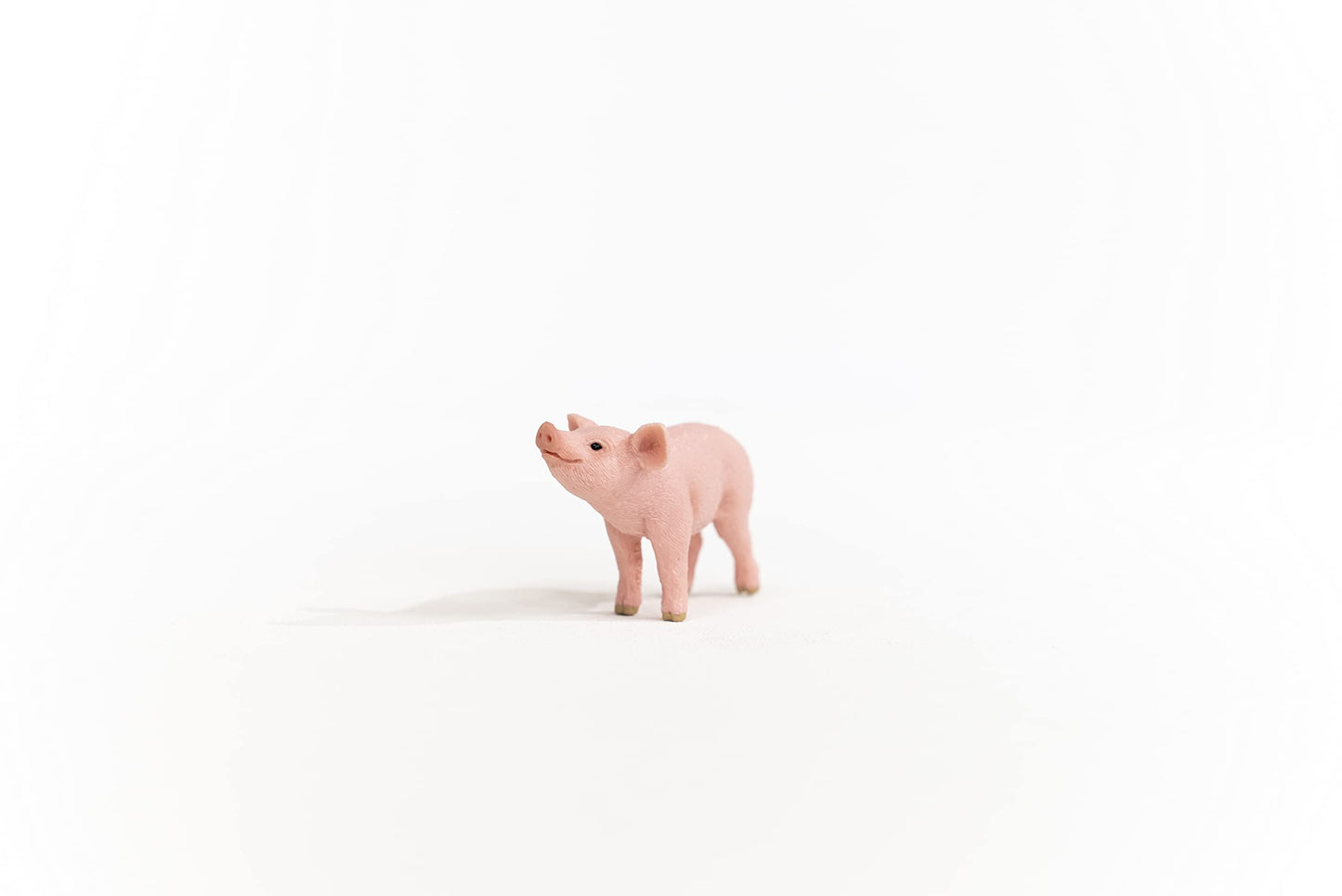 13934 - Piglet