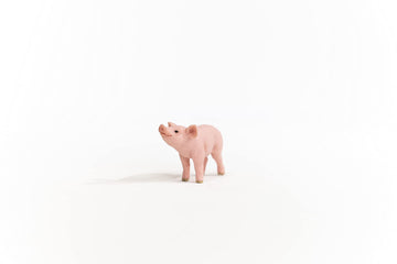13934 - Piglet