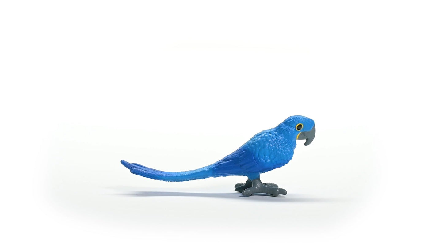 Schleich Wild Life New 2024 Wild Animal Toy Hyazinth Macaw Bird Figurine