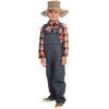 Farmer Costume  Large - Age 12 To 14