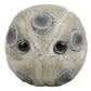 GIANTmicrobes HPV Plush, STIs, STDs, Medical Gag Gifts Funny, OBGYN Gifts for Doctors, Infection Prevention Gifts, Infection Con