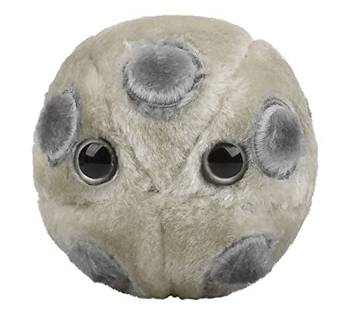 GIANTmicrobes HPV Plush, STIs, STDs, Medical Gag Gifts Funny, OBGYN Gifts for Doctors, Infection Prevention Gifts, Infection Con