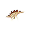 Famemaster 4D Vision Stegosaurus Anatomy Model
