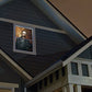 Atmosfx Unliving Portraits Digital Decorations Dvd For Halloween Holiday Projection Decorating