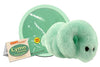 GIANTMICROBES Lyme Disease Plush Toy - 7-inch Green, Educational Gift for Patients & Professionals
