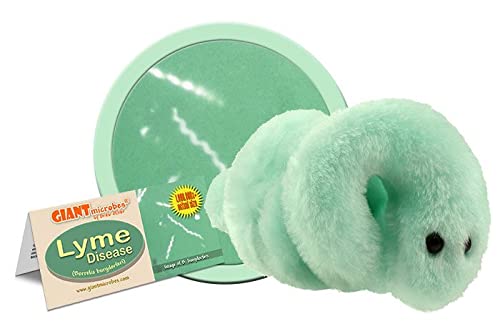 GIANTMICROBES Lyme Disease Plush Toy - 7-inch Green, Educational Gift for Patients & Professionals