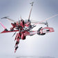 TAMASHII NATIONS - Mobile Suit Gundam Seed Freedom - Infinite Justice Gundam Type II, Bandai Spirits Metal Robot Spirits Figure