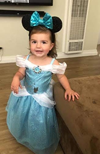 CLGIFT Cinderella-Themed Mickey Ears, Minnie Ears, and Blue Elsa Ears