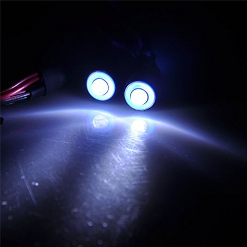 MOHERO 2 LEDs Angel Eyes & Demon Eyes LED Light Headlights for 1/10 RC Model Crawler Cars Headlamps (Blue+White, 10mm)