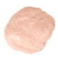 Crayola Tempera Paint, Peach Kids Paint, 16oz, Pint