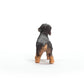 Schleich Farm World New 2024 Farm Animal Toy Wire Haired Dachshund Dog Toy Figurine