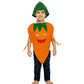 Fancydresswale Carrot Fancy Dress Costume For Kids | Free Size 2-10 Years | School Functions, Fancy Dress Competitions, Theme Pa