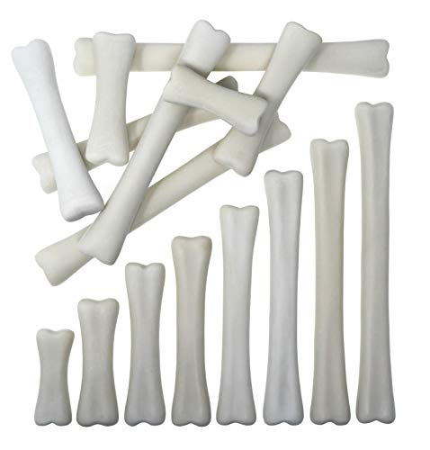 Dinosaur Bones Match & Measure Set