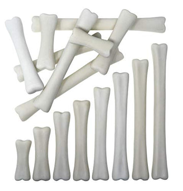 Dinosaur Bones Match & Measure Set