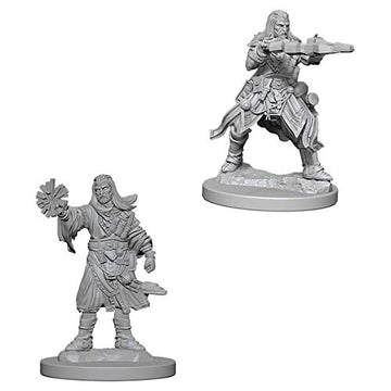 Pathfinder Deep Cuts Unpainted Miniatures: Wave 6: Human Male Wizard