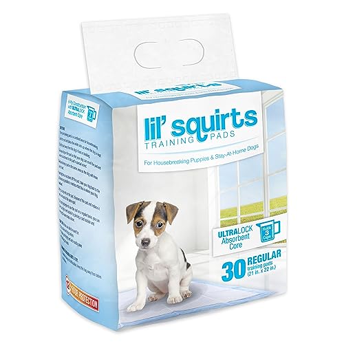 Ruffin' It Lil' Squirts Puppy Training Pads 50 Pk