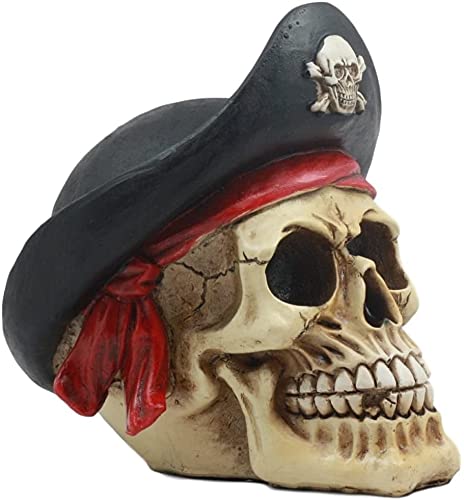 Ebros Gift Badass Pirate Captain Marauder Skull With Golden Earring Statue Captain Hook Skeleton Cranium With Crossbones Hat Figurine Skulls Skeletons