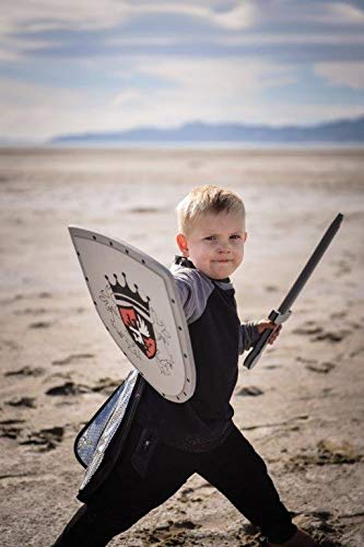 Little Adventures Foam Pretend Play Toy Shield & decorative replica blade Set (Blue Knight)