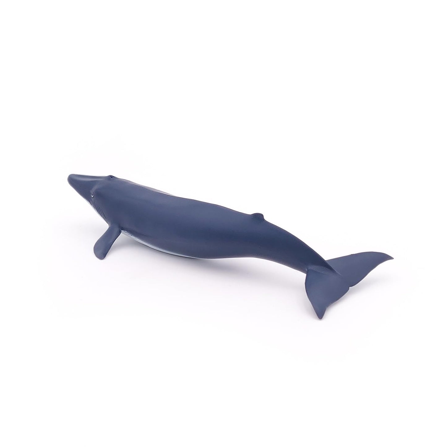 Papo - Hand-Painted - Figurine - Marine Life - Blue Whale Calf-56041 - Collectible - For Children - Suitable For Boys And Girls - From 3 Years Old