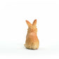 Schleich Farm World New 2024 Farm Animal Toy Lionhead Rabbit Figurine