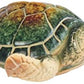 Stealstreet Ss-G-54336 Small Green Shelled Sea Turtle Figurine, 3.75'