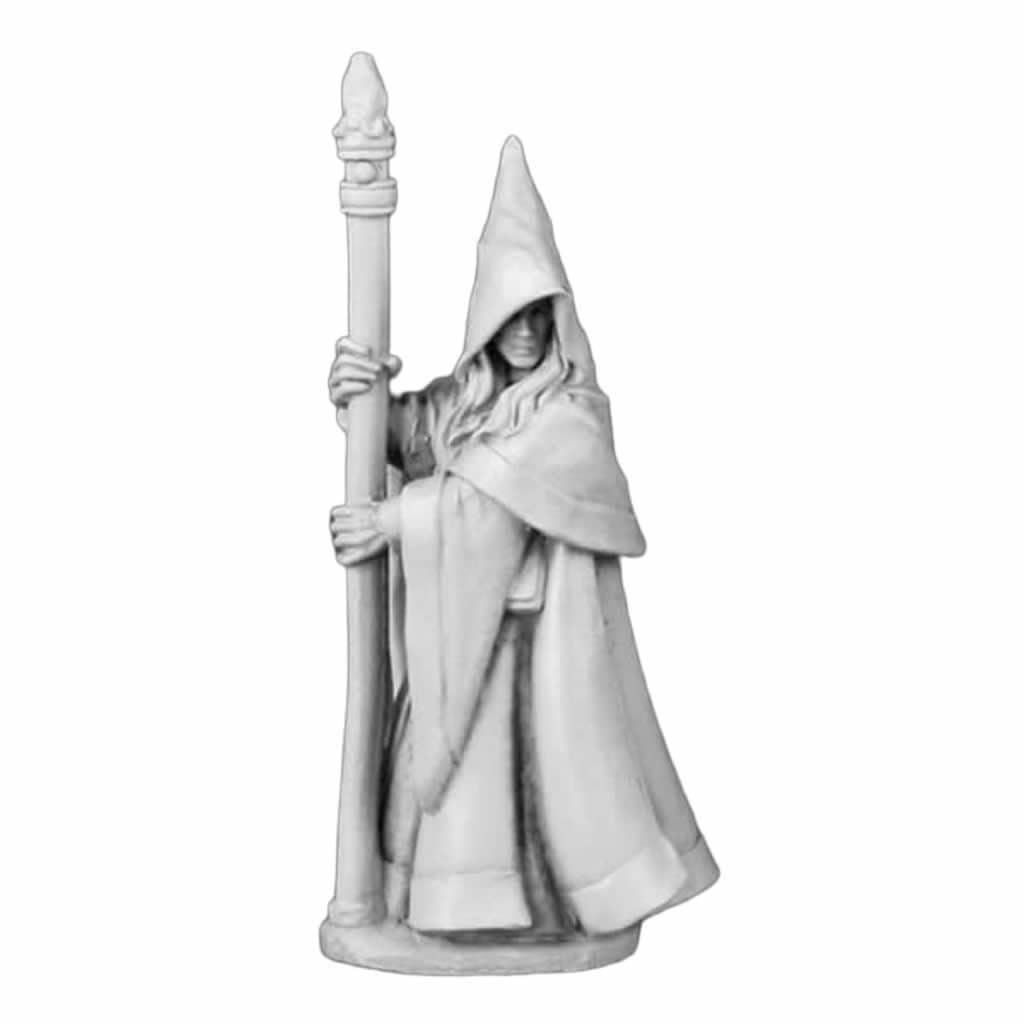 Reaper Anirion  Wood Elf Wizard