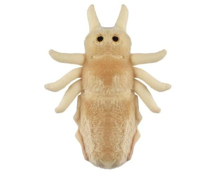 GIANT MICROBES Louse Plush Toy - 7" Tan Educational Gift for Lice Awareness, Ideal for Families and Insect Lovers
