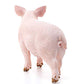 Schleich Farm World Pig Educational Figurine For Kids Ages 3-8