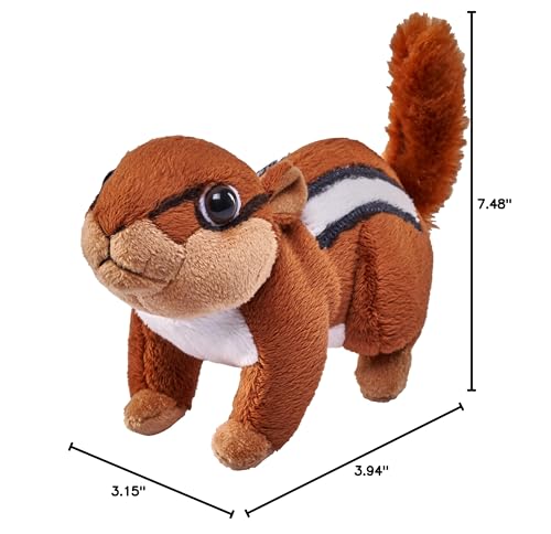 Wild Republic Pocketkins Eco Chipmunk, Stuffed Animal, 5 Inches, Plush Toy, Made from Recycled Materials, Eco Friendly