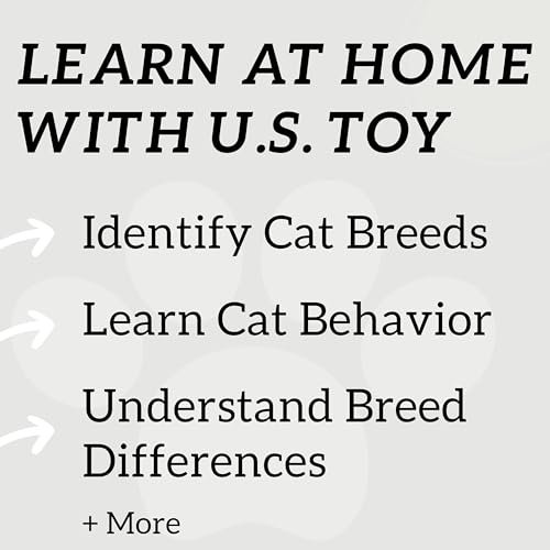U.S. Toy Assorted Plastic 2'' Cat Figure Toys (12)