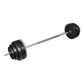 vidaXL Barbell Set with Plates and Grip Handles - 132 lb Weight Set for Home or Personal Training Centers, Metal Construction