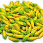20 Vegetable Corn Dollhouse Miniatures Food Kitchen no.2