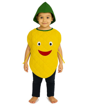 Fancydresswale Pineapple Fancy Dress Costume For Kids | Free Size 2-10 Years | Stage Shows, Fancy Dress Competitions, Theme Part