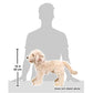 Folkmanis Labradoodle Hand Puppet, One Size, Multi, White